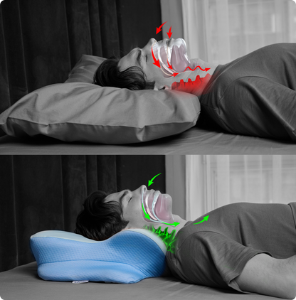 Derila Ergo Pillow